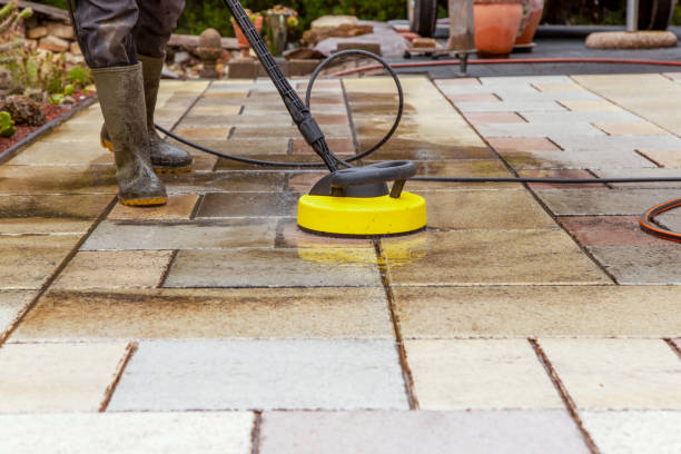 Best Solar Panel Cleaning  in White Knoll, SC